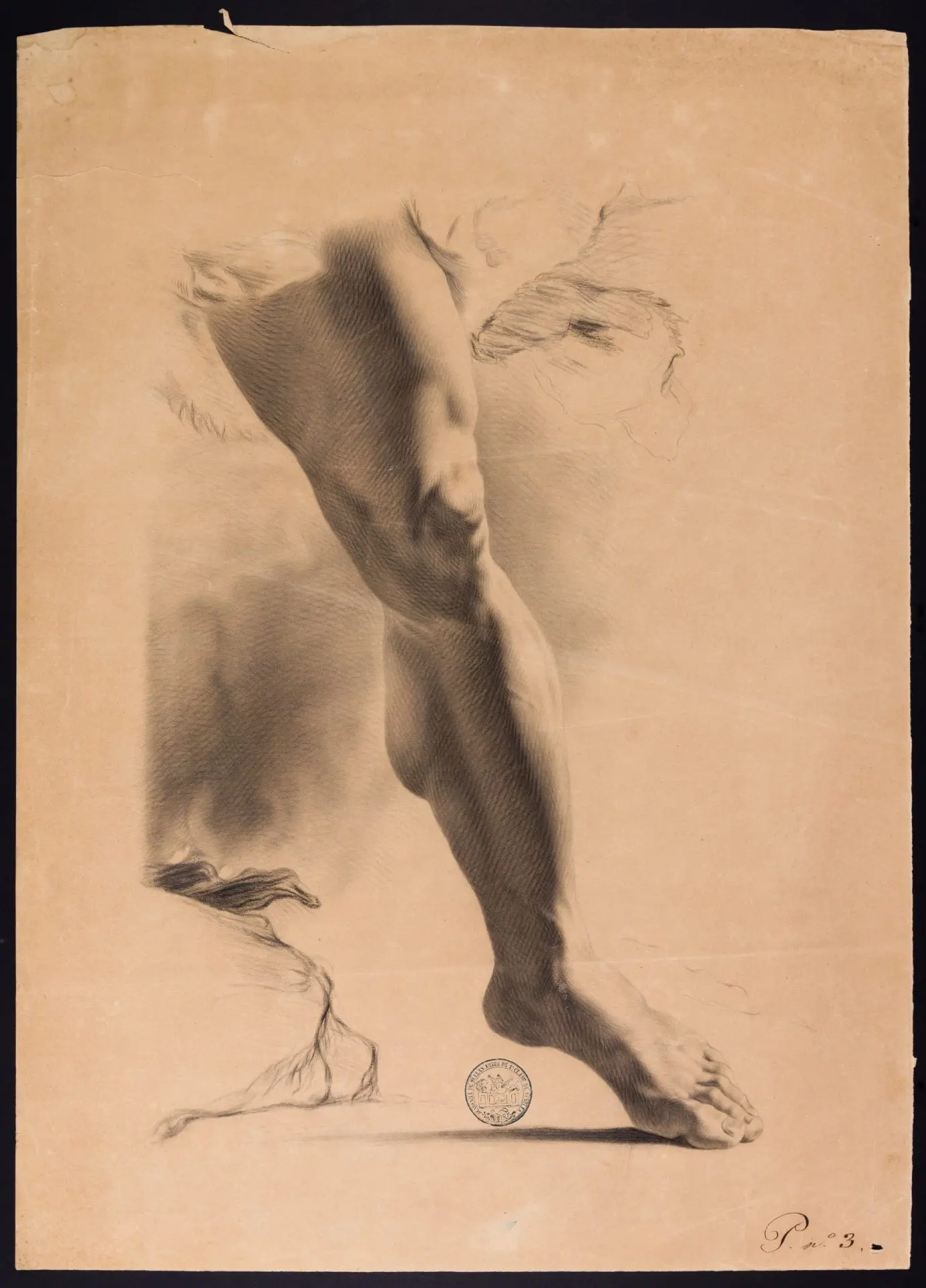Dibujo de José de Soto y Tello