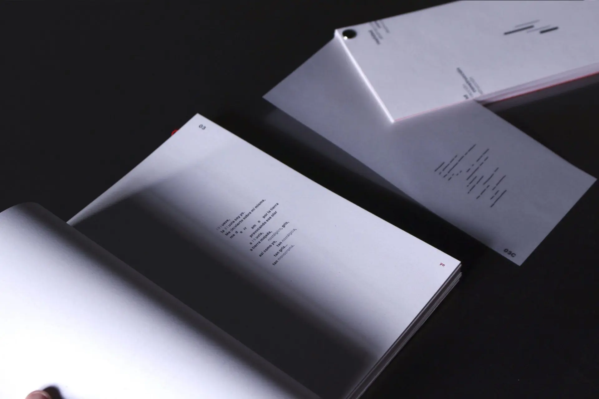 Proyecto de Diseño Gráfico de la alumna Beatriz Pavón